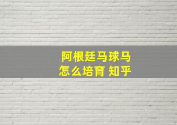 阿根廷马球马怎么培育 知乎